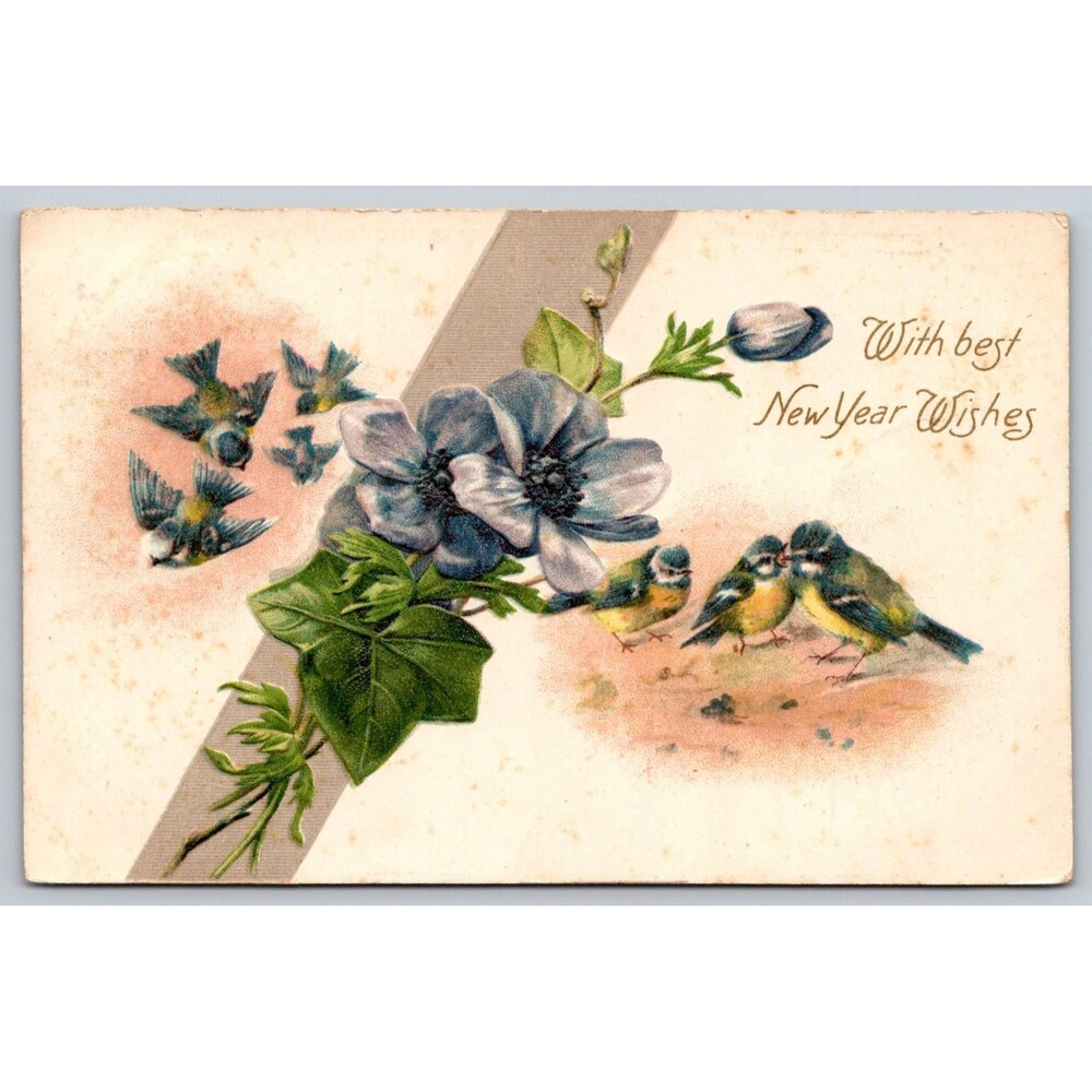 Antique 1907 New Year Postcard Embossed Birds Flowers Germany Brooklyn Michigan